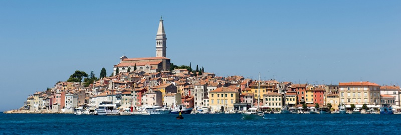 European City Safari Custom Tour