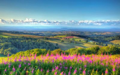 English Countryside